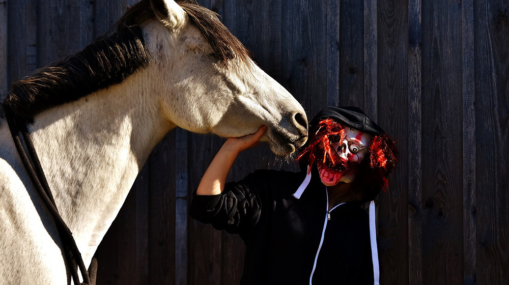 10 espeluznantes "disfraces" de Halloween para tu caballo 