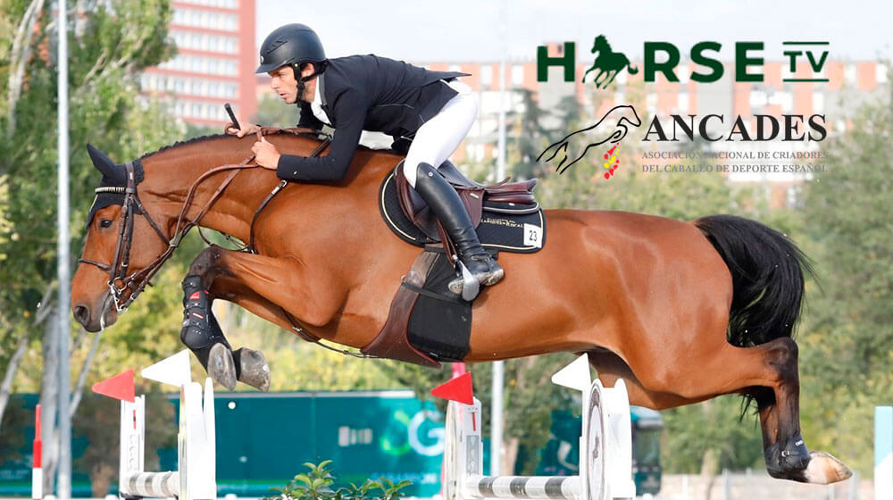 Horse TV y ANCADES promueven el caballo de deporte español